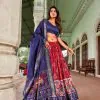 Attractive Red Color Tussar Silk Patola Foil Printed Lehenga Choli