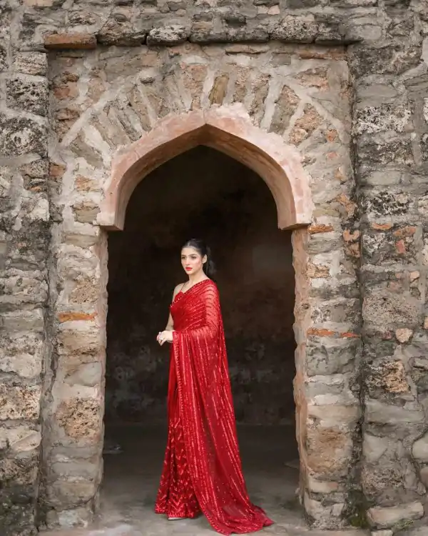 Special Red Color Georgette Embroidery Sequence Work Saree