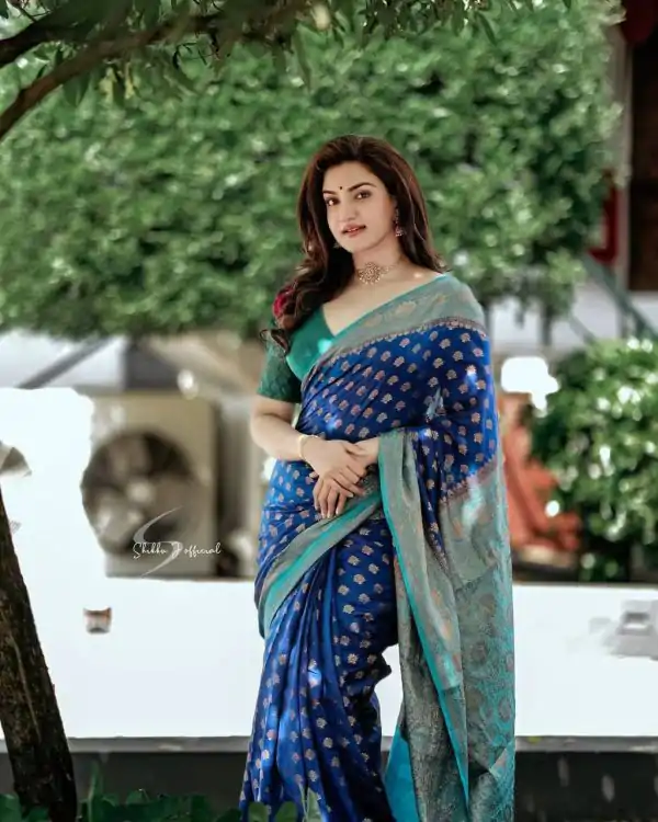 Sublime Royal Blue Color Soft Lichi Silk Beautiful Rich Pallu Saree