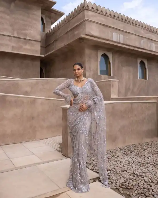 Fancy Silver Color Nylon Butterfly Net Malty & Sequence Saree