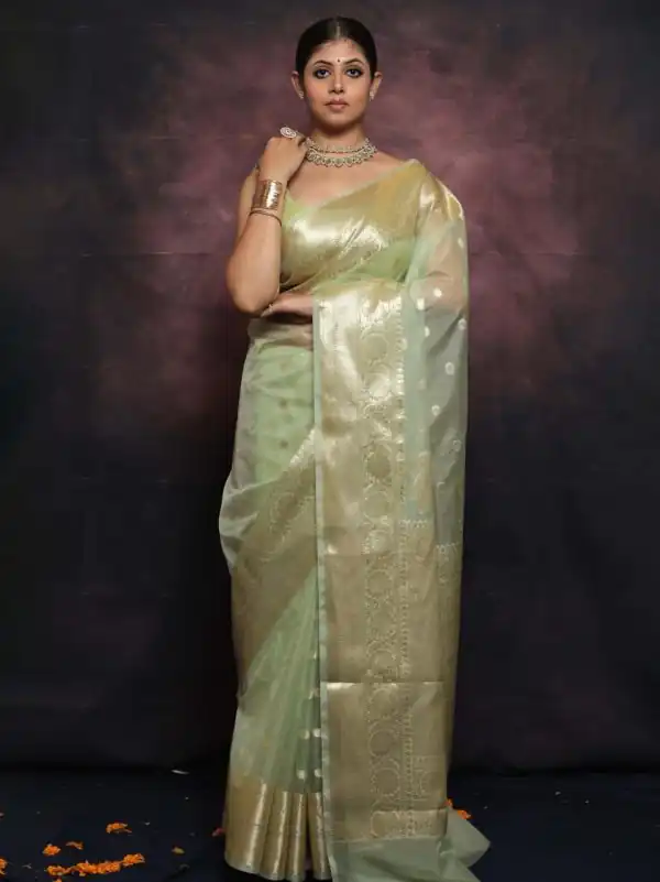 Grand Light Green Color Organza Jacquard Butti Worked Saree