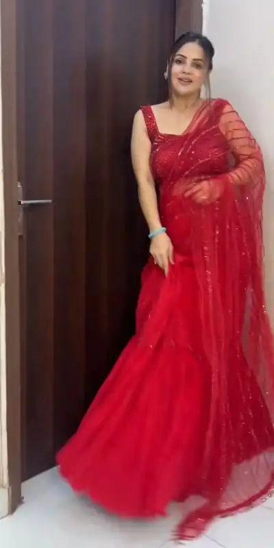 Peaceful Red Color Butterfly Net Thread Sequence Lehenga Saree