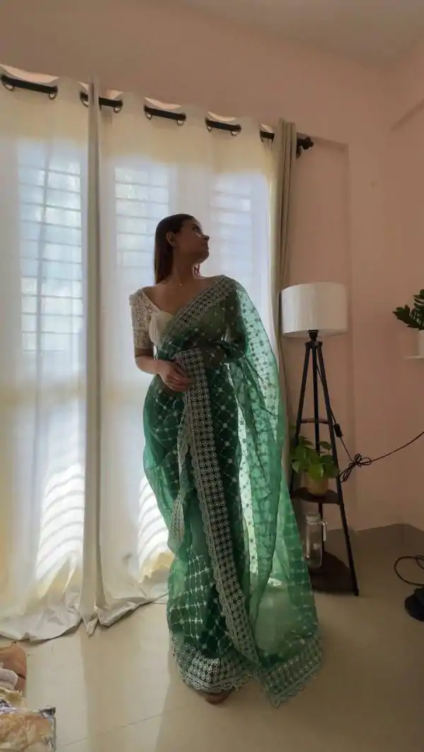 Sublime Green Color Organza Embroidery Thread Work Saree