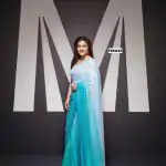 Artful Off Firozi Padding Georgette Double Run Sequins Saree