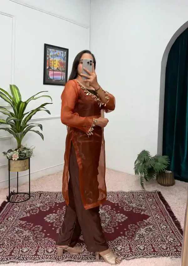 Nice Brown Color Organza Mirror Lace Work Salwar Suit