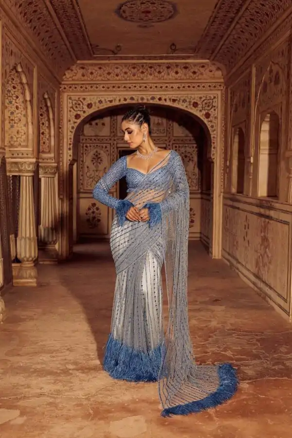 Firozi Mono Net  Sequins Saree
