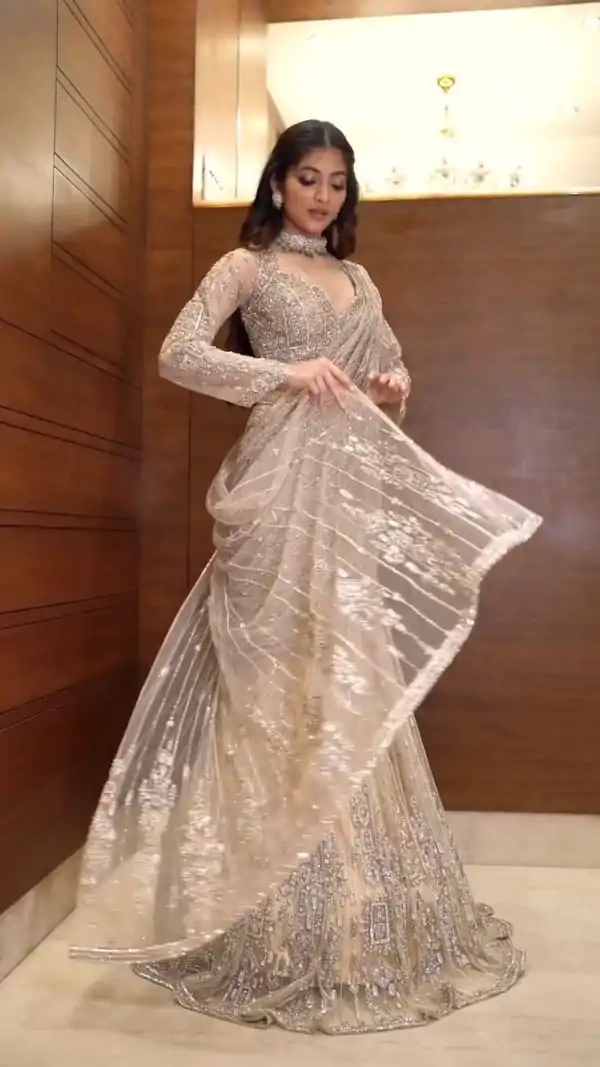Cream Butterfly Net Embroidery Work Saree
